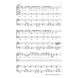 Enya White Is In The Winter Night (Snyder Audrey) Sab Choral