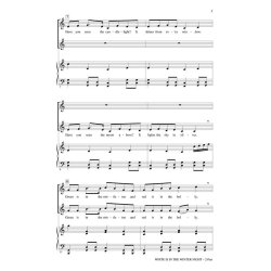 Enya White Is In The Winter Night (Snyder Audrey) 2 Part Choral