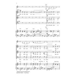 Harvest Moon : Discovery Level 2