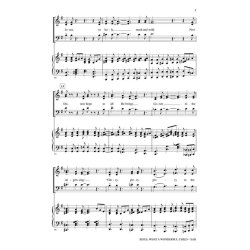 Jesus What A Wonderful Child (Arr Dilworth Rollo) Sab Choral