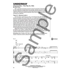 Dave Rubin: Peter Green &ndash; Signature Licks (Book/Online Audio)