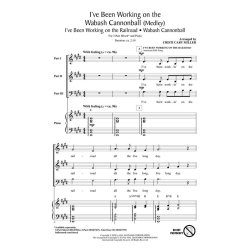 I've Been Working on the Wabash Cannonball : Discovery Level 1