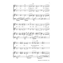 The Beauty of the Night