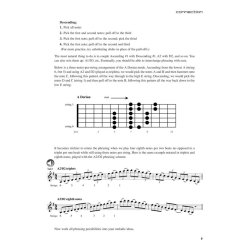 Rez Abbasi: New Dimensions In Jazz Guitar