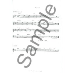 Gabriel Rosati: 100 Original Tunes For All Instruments (Sheet Music/4 CDs)