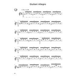 The Classical Guitar Compendium - Notation Edition &ndash; No Tablature (Book/Online Audio)