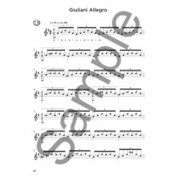 The Classical Guitar Compendium - Notation Edition &ndash; No Tablature (Book/Online Audio)