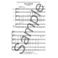 Josu Elberdin: Izar Ederrak (The Beautiful Star)