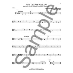 101 Broadway Songs: Viola