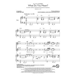 Justin Bieber: What Do You Mean (Arr. Brymer) (2-Part)
