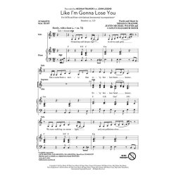 Like I'm Gonna Lose You