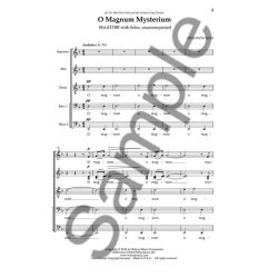Hyo-Won Woo: O Magnum Mysterium