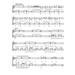 Veljo Tormis: Meestelaulud (Men's Songs)