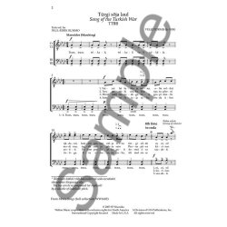 P&auml;rt Uusberg: Song Of The Turkish War (Turgi Soja Laul)