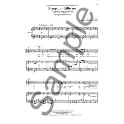 Josu Elberdin: Sleep, My Little Sea