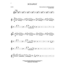 Hal Leonard Instrumental Play-Along: Top Hits - Flute (Book/Online Audio)