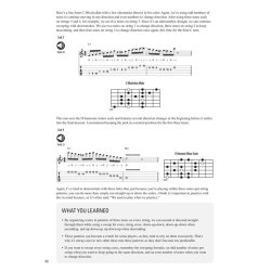 Guitarist's Guide To Economy Picking