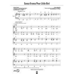 Folksong Partners Around the World : More Flexible Favorites for Unison and Part-Singing Fun