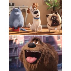 The Secret Life Of Pets (Piano Solo)