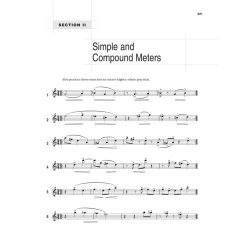 Joseph Viola: The Technique Of The Flute