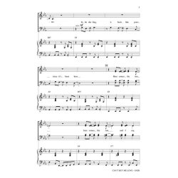 Can't Buy Me Love : Medley of Hits by the Beatles