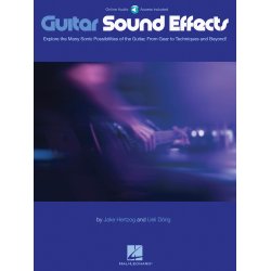 Jake Hertzog & Ueli D&ouml;rig: Guitar Sound Effects