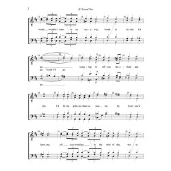 Oscar Hammerstein II: If I Loved You (arr. Gray) (TTBB)