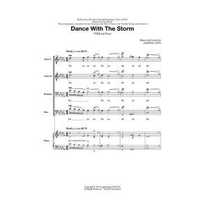 Dance with the Storm : Timothy Seelig Choral Series Voices Rising