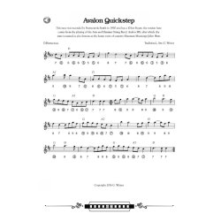 Bluegrass and Old-Time Fiddle Tunes for Harmonica (Book/Audio)