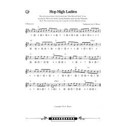 Bluegrass and Old-Time Fiddle Tunes for Harmonica (Book/Audio)