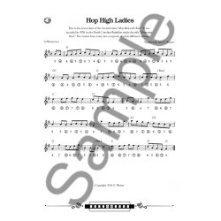 Bluegrass and Old-Time Fiddle Tunes for Harmonica (Book/Audio)