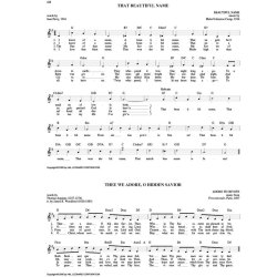 The Hymn Fake Book - A Collection Of Over 1000 Multi-Denominational Hymns (C Edition)