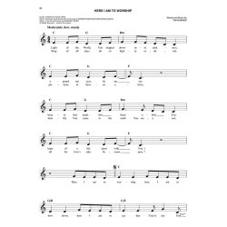 Easy Worship Fake Book Mlc Bk