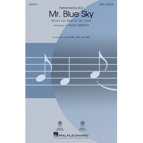 Mr. Blue Sky