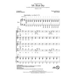 Mr. Blue Sky