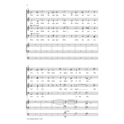 In Flanders Fields : Judith Clurman Choral Series