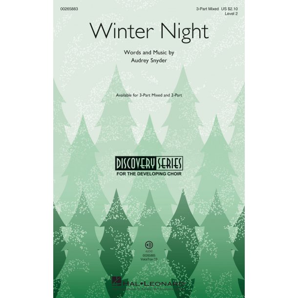 Winter Night : Discovery Level 2