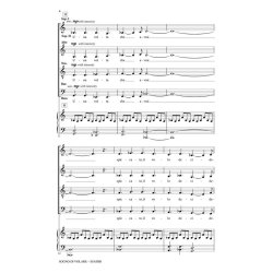 Sogno Di Volare : The Dream of Flight