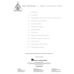 Joe Satriani: What Happens Next - Guitar Recorded Versions
