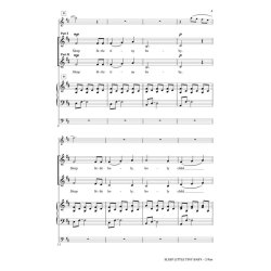 Sleep Little Tiny Baby