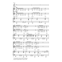 Catch a Falling Star : Discovery Level 1