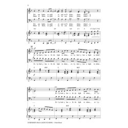 Everybody Has a Light to Shine