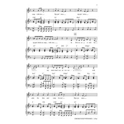 Chicken Soup with Rice