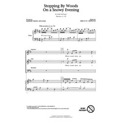 Stopping by Woods on a Snowy Evening