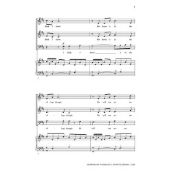 Stopping by Woods on a Snowy Evening