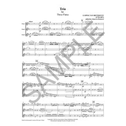 Trio for Three Flutes