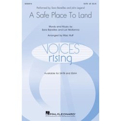 A Safe Place To Land : Voices Rising Series