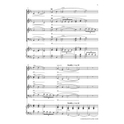 A Safe Place To Land : Voices Rising Series