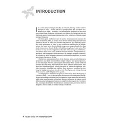 Holiday Songs for Fingerstyle Guitar : Acoustic Guitar Private Lessons Series Audio & Video Downloads Included