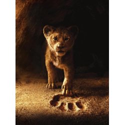 The Lion King (Lvernes Konge) - PVG